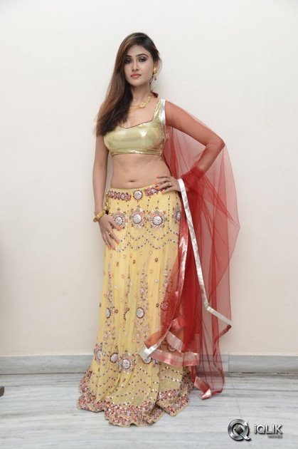 Sony-Charishta-at-Seenugadi-Love-Story-Movie-Audio-Launch